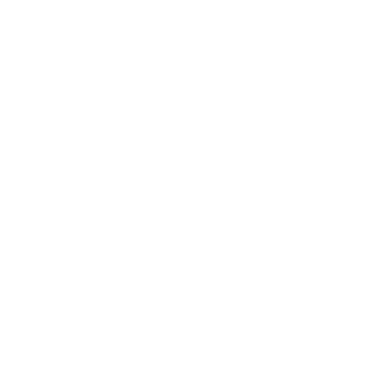reinigungsservice plus pflegeberatung logo v1 weiß
